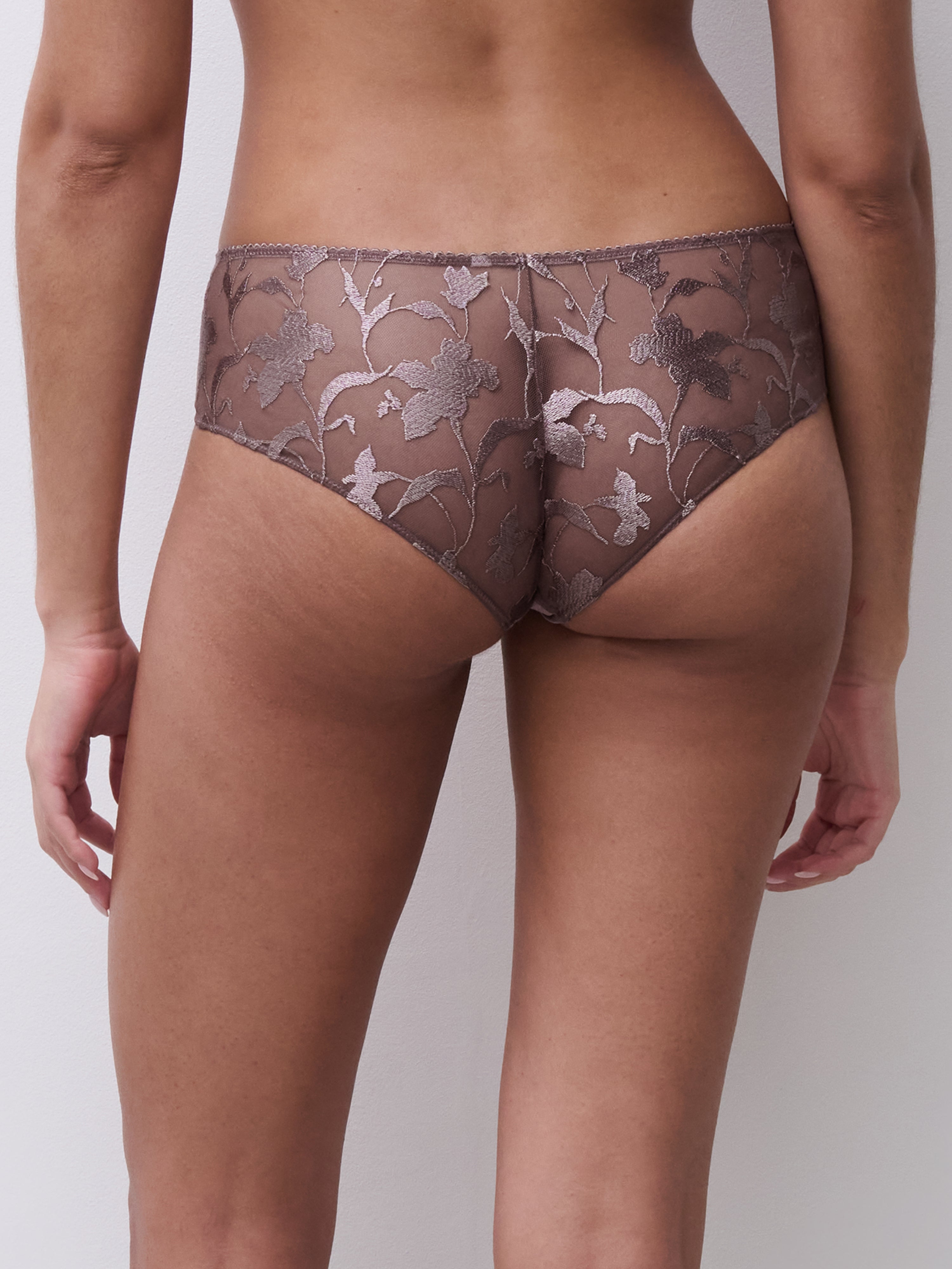 Chantelle Idyll Lace Hipster - Muscade