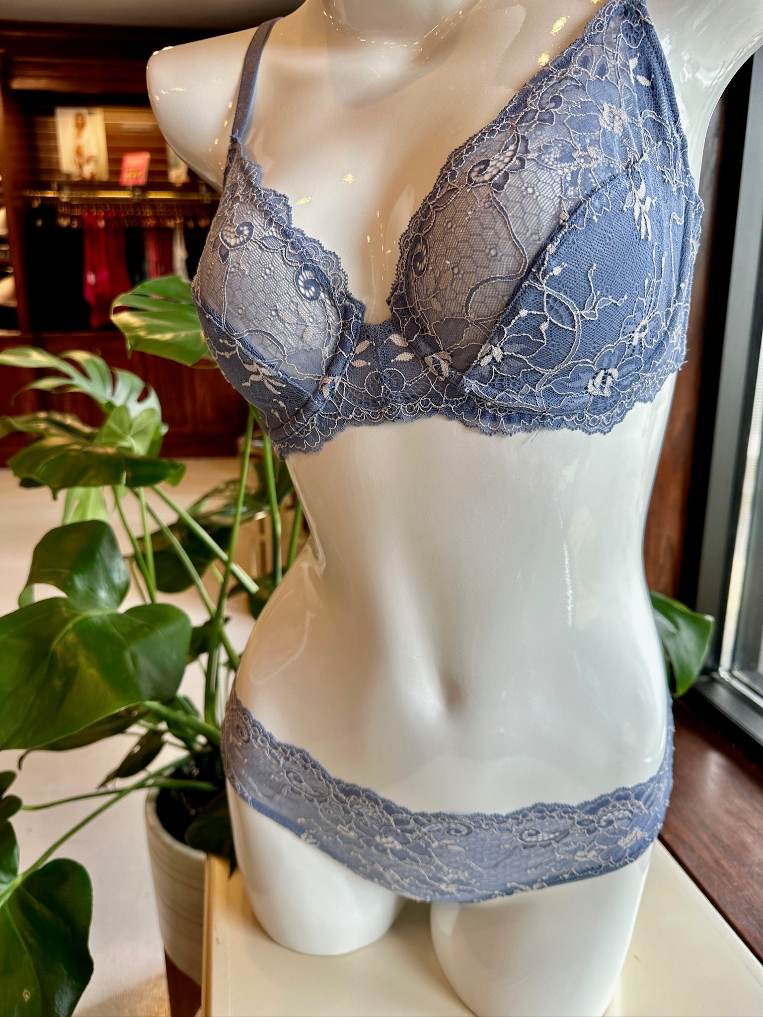 Samantha Chang All Lace Amour Bra- French Blue/Eggshell